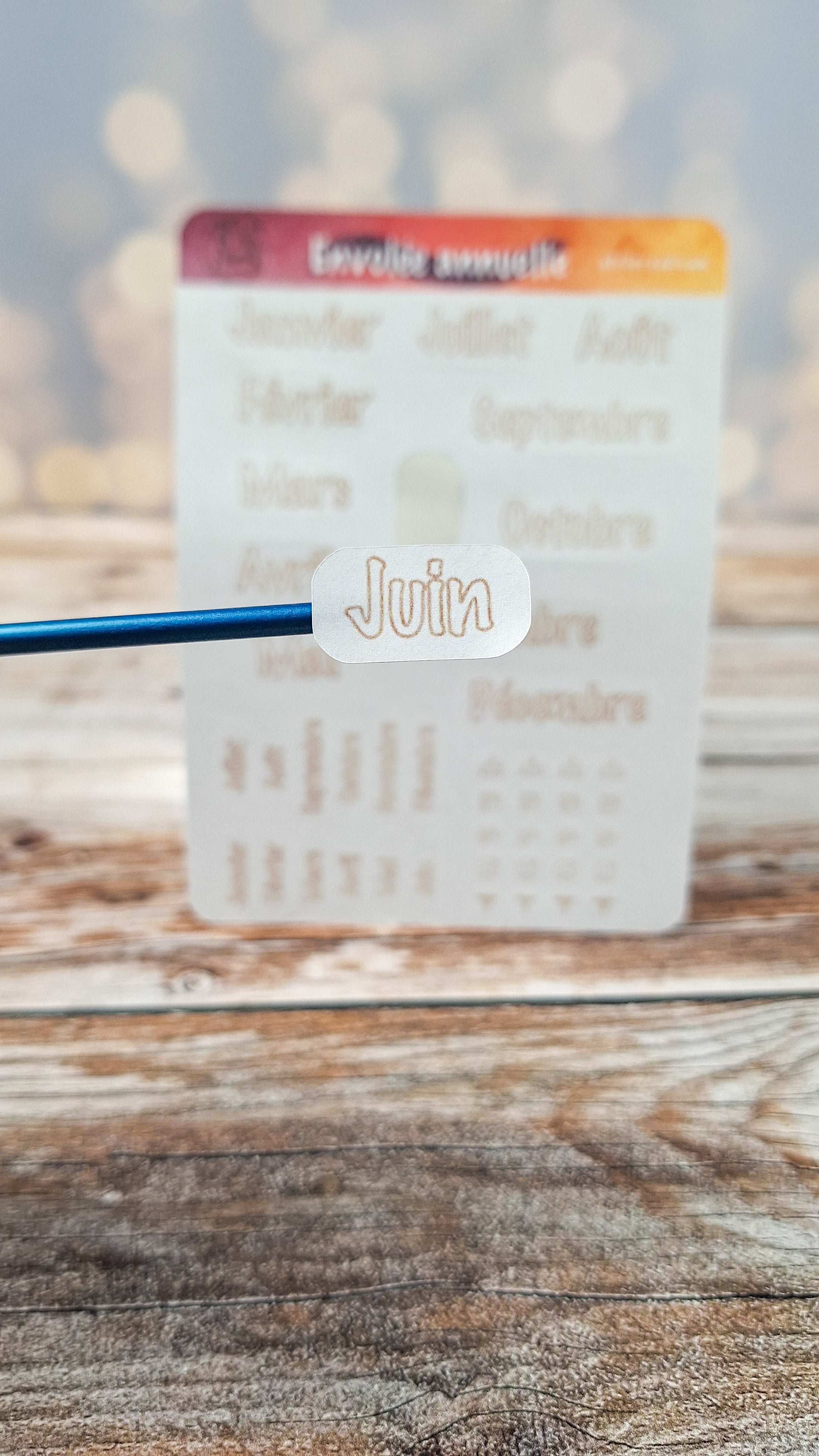 Planche de stickers - Envolée annuelle ✨